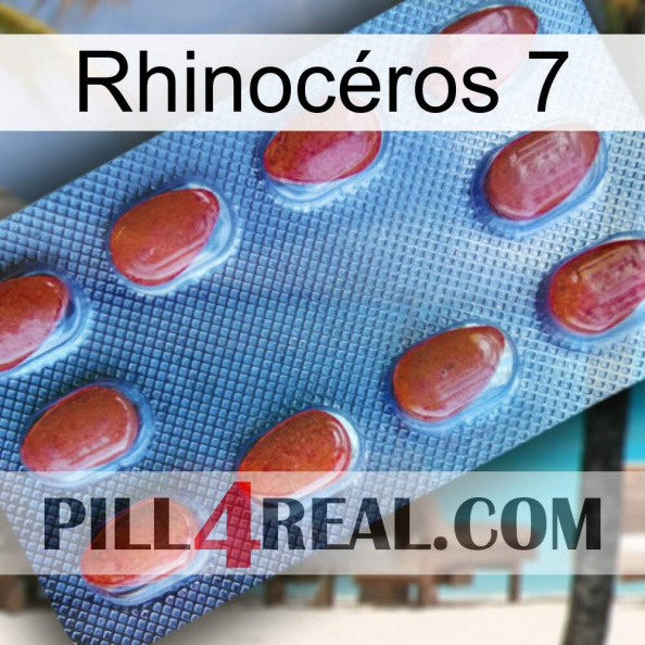 Rhinocéros 7 06